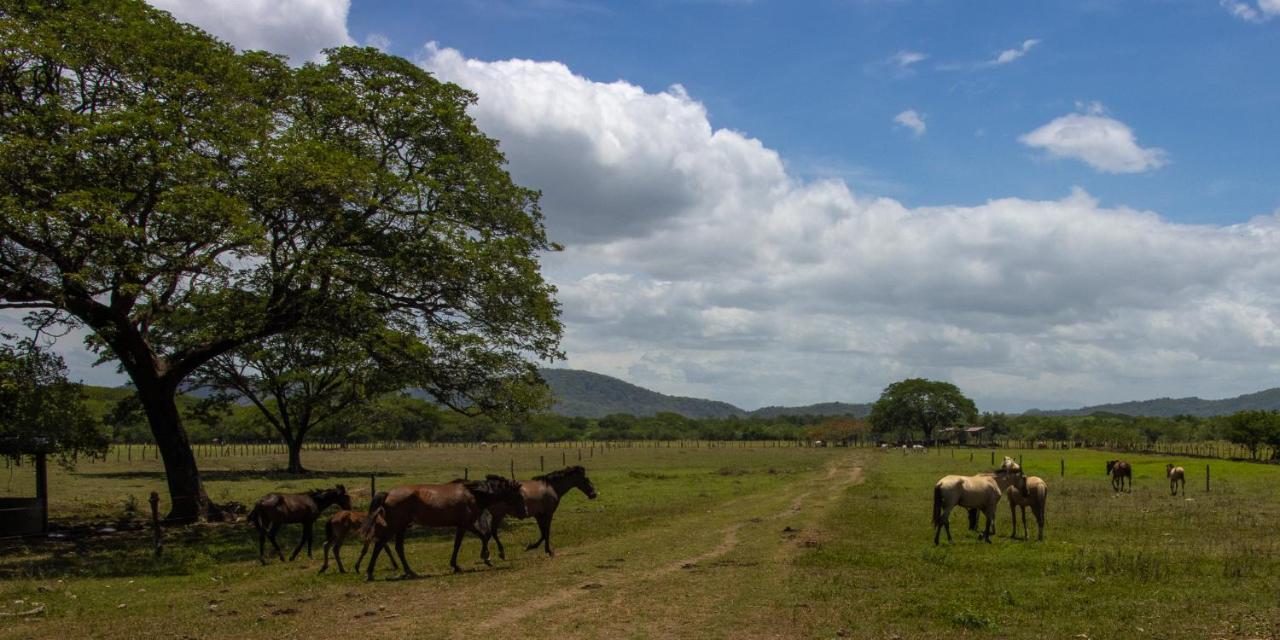 Rancho Humo Estancia Puerto Humo  Extérieur photo